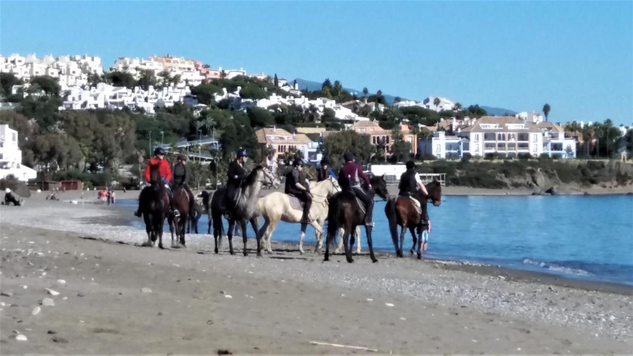 Casa Julia Daire Casares Dış mekan fotoğraf